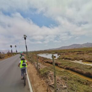Biciturismo a Villa, el último Refugio de Vida Silvestre dentro de Lima