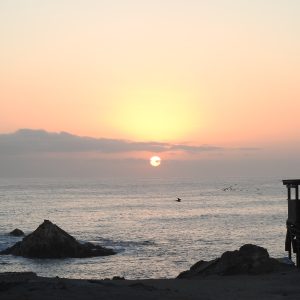 Senderismo Interpretativo Punta Coles