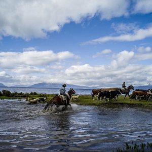 Programa Reducción del Estrés + Vida de Estancia