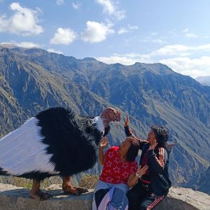 Arequipa 04 días – Valle del Colca y el vuelo del cóndor