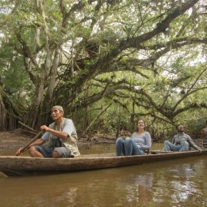 03 días – Región San Martín: Tarapoto y Tingana – Observación de aves exóticas y animales raros en el bosque