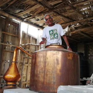 Pisco Spirit of Perú (Full day)