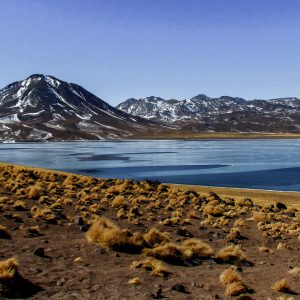 Desierto Vivo: Naturaleza y Cultura en Atacama