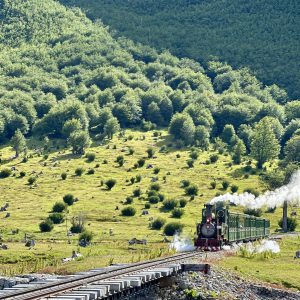 Viaje a bordo de trenes a vapor en clase Premium
