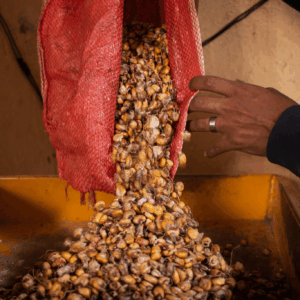 De la Tierra a la Sal: Un Viaje Andino en el Tiempo