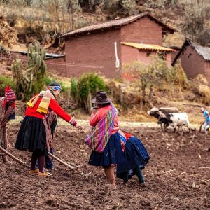 Gastronomía Nativa en Huayllafara