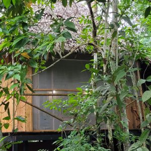 Pernoctando cerca a la Reserva Allpahuayo Mishana