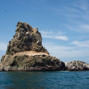 Tour en yate con nado con lobos marinos en la ANP islas Palomino