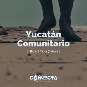 Yucatán Comunitario (Modalidad habitación cuadruple)